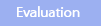 Evaluation